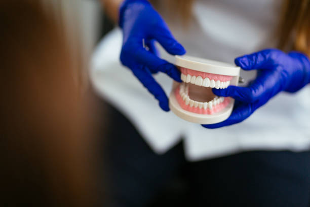 Best Cosmetic Dentistry  in Wright, FL