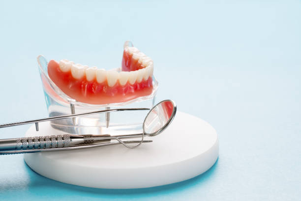  Wright, FL Holistic Dental Services Pros